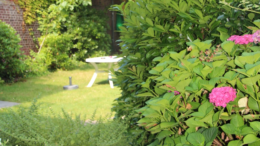 Foto aus dem liebevoll angelegten Garten der Tagesklinik. 